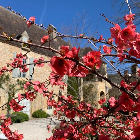 La Tour De Cause Bed and Breakfast Castelnaud La Chapelle Εξωτερικό φωτογραφία