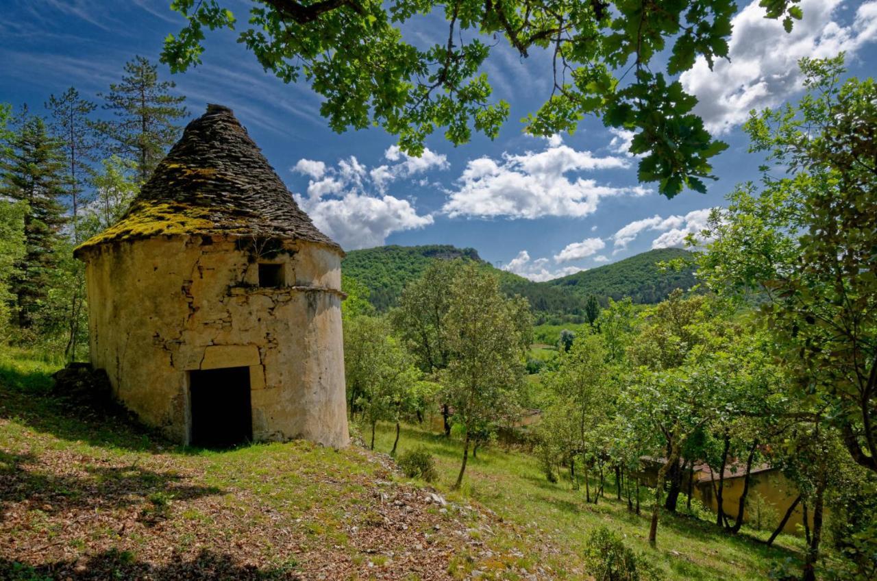 La Tour De Cause Bed and Breakfast Castelnaud La Chapelle Εξωτερικό φωτογραφία