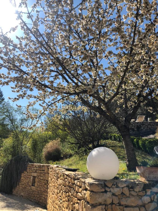 La Tour De Cause Bed and Breakfast Castelnaud La Chapelle Εξωτερικό φωτογραφία