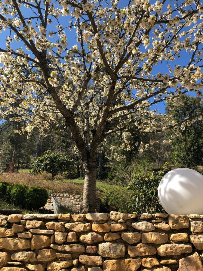 La Tour De Cause Bed and Breakfast Castelnaud La Chapelle Εξωτερικό φωτογραφία