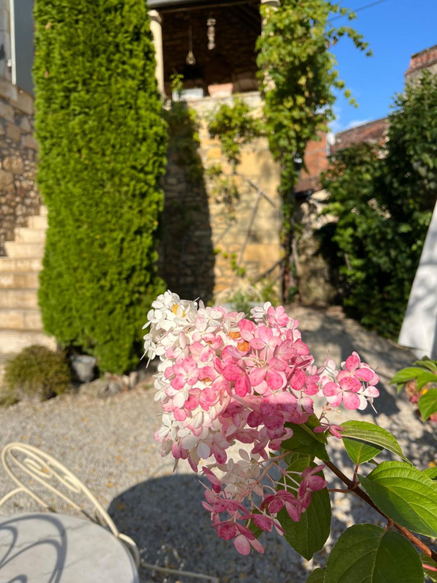 La Tour De Cause Bed and Breakfast Castelnaud La Chapelle Εξωτερικό φωτογραφία